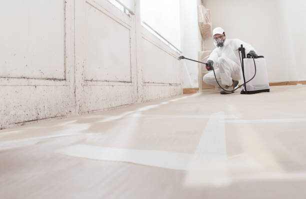 24/7 Emergency Mold Remediation experts in Oldtown, MD